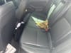 8 thumbnail image of  2023 Honda Civic Sport Touring