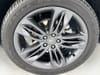 31 thumbnail image of  2024 Acura RDX A-Spec Package