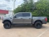 8 thumbnail image of  2017 Ford F-150 Raptor