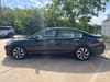 7 thumbnail image of  2017 Honda Accord EX-L