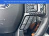 20 thumbnail image of  2018 Ford F-150 Raptor