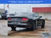 6 thumbnail image of  2018 Ford Mustang GT