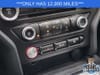 20 thumbnail image of  2018 Ford Mustang GT