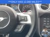 30 thumbnail image of  2018 Ford Mustang GT