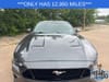 2 thumbnail image of  2018 Ford Mustang GT