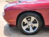 10 thumbnail image of  2019 Dodge Challenger SXT