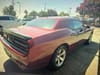 2 thumbnail image of  2019 Dodge Challenger SXT