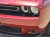9 thumbnail image of  2019 Dodge Challenger SXT