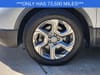 11 thumbnail image of  2019 Honda CR-V EX-L