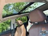 14 thumbnail image of  2020 Acura RDX Technology Package