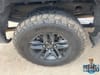 32 thumbnail image of  2021 Chevrolet Silverado 1500 LT Trail Boss