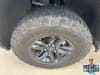 30 thumbnail image of  2021 Chevrolet Silverado 1500 LT Trail Boss
