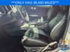 10 thumbnail image of  2021 Ford Mustang EcoBoost Premium