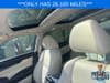 14 thumbnail image of  2022 Nissan Maxima Platinum