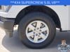 11 thumbnail image of  2023 Ford F-150 XL