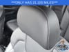 17 thumbnail image of  2023 Kia Sorento X-Line EX