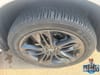 33 thumbnail image of  2024 Acura RDX A-Spec Package