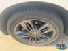 32 thumbnail image of  2024 Acura RDX A-Spec Package