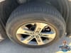 34 thumbnail image of  2024 Honda Pilot EX-L