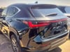 6 thumbnail image of  2024 Lexus NX 350 Base