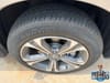 34 thumbnail image of  2025 Acura RDX Technology Package