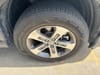 17 thumbnail image of  2025 Honda Pilot EX-L