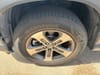 16 thumbnail image of  2025 Honda Pilot EX-L