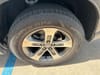 19 thumbnail image of  2025 Honda Pilot EX-L