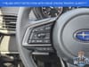 26 thumbnail image of  2025 Subaru Outback Premium