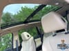 14 thumbnail image of  2026 Acura MDX Technology Package
