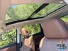 14 thumbnail image of  2026 Acura MDX Technology Package