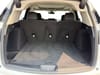 10 thumbnail image of  2024 Acura RDX