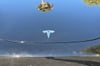 43 thumbnail image of  2018 Tesla Model 3 Long Range