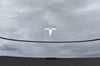40 thumbnail image of  2019 Tesla Model 3 Long Range