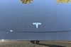 43 thumbnail image of  2023 Tesla Model Y Long Range