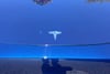 43 thumbnail image of  2023 Tesla Model Y Standard Range