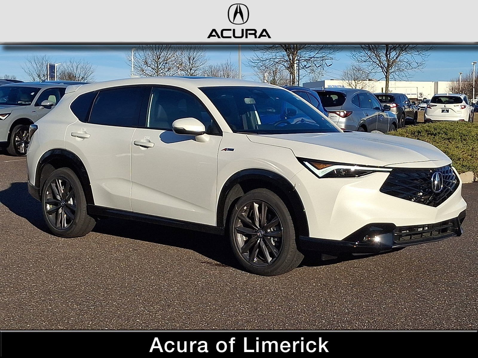 2025 Acura ADX A-Spec Package's photo