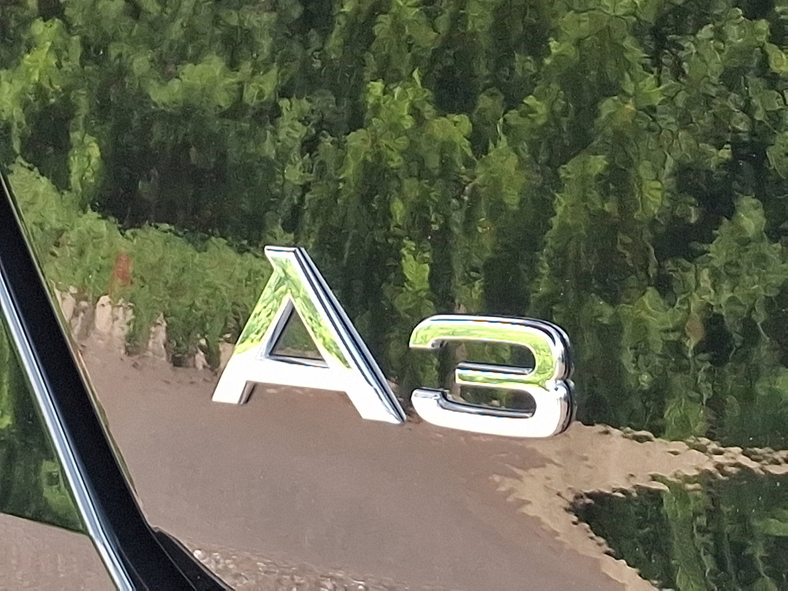 View 29