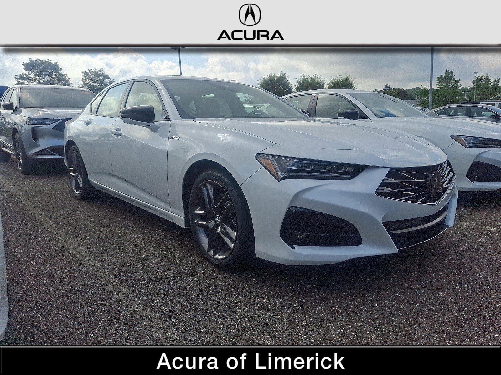 2025 Acura TLX A-SPEC Package's photo