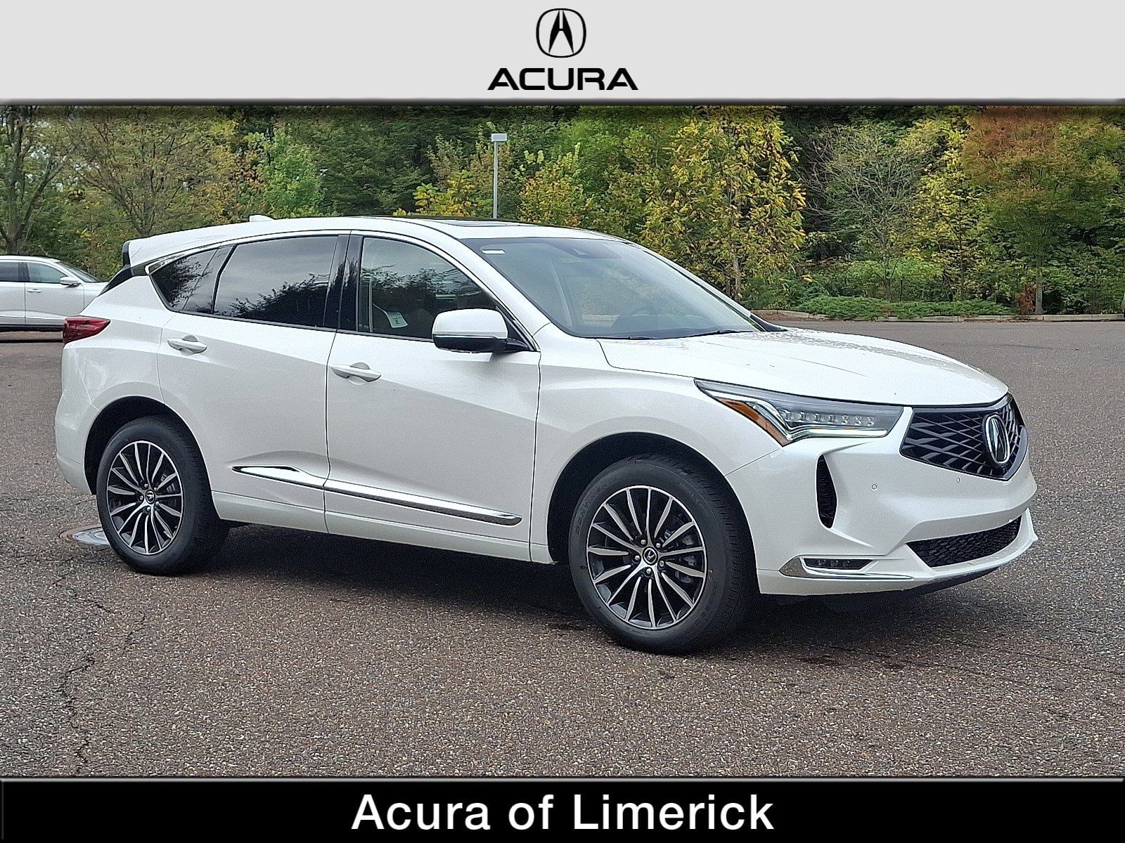 2025 Acura RDX Advance Package's photo