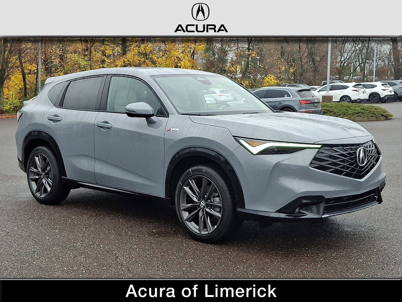 2025 Acura ADX A-Spec Package's photo