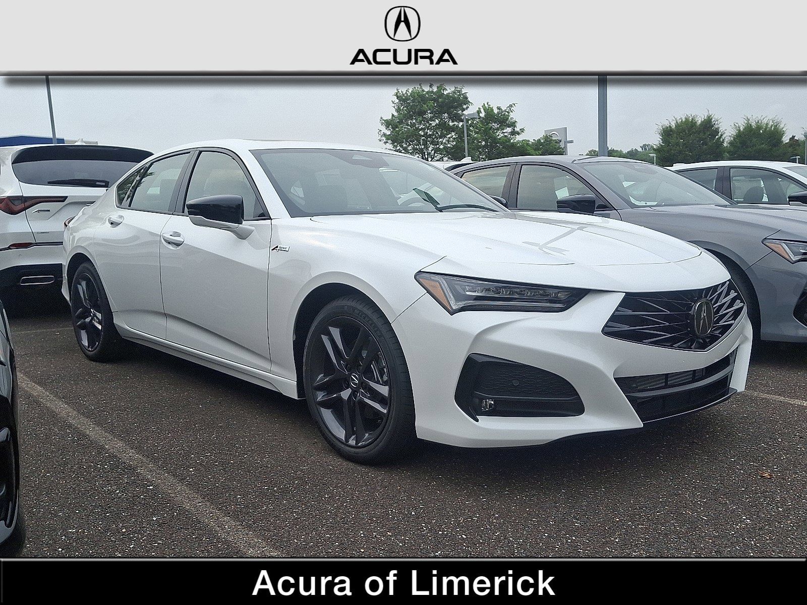 2025 Acura TLX A-SPEC Package's photo