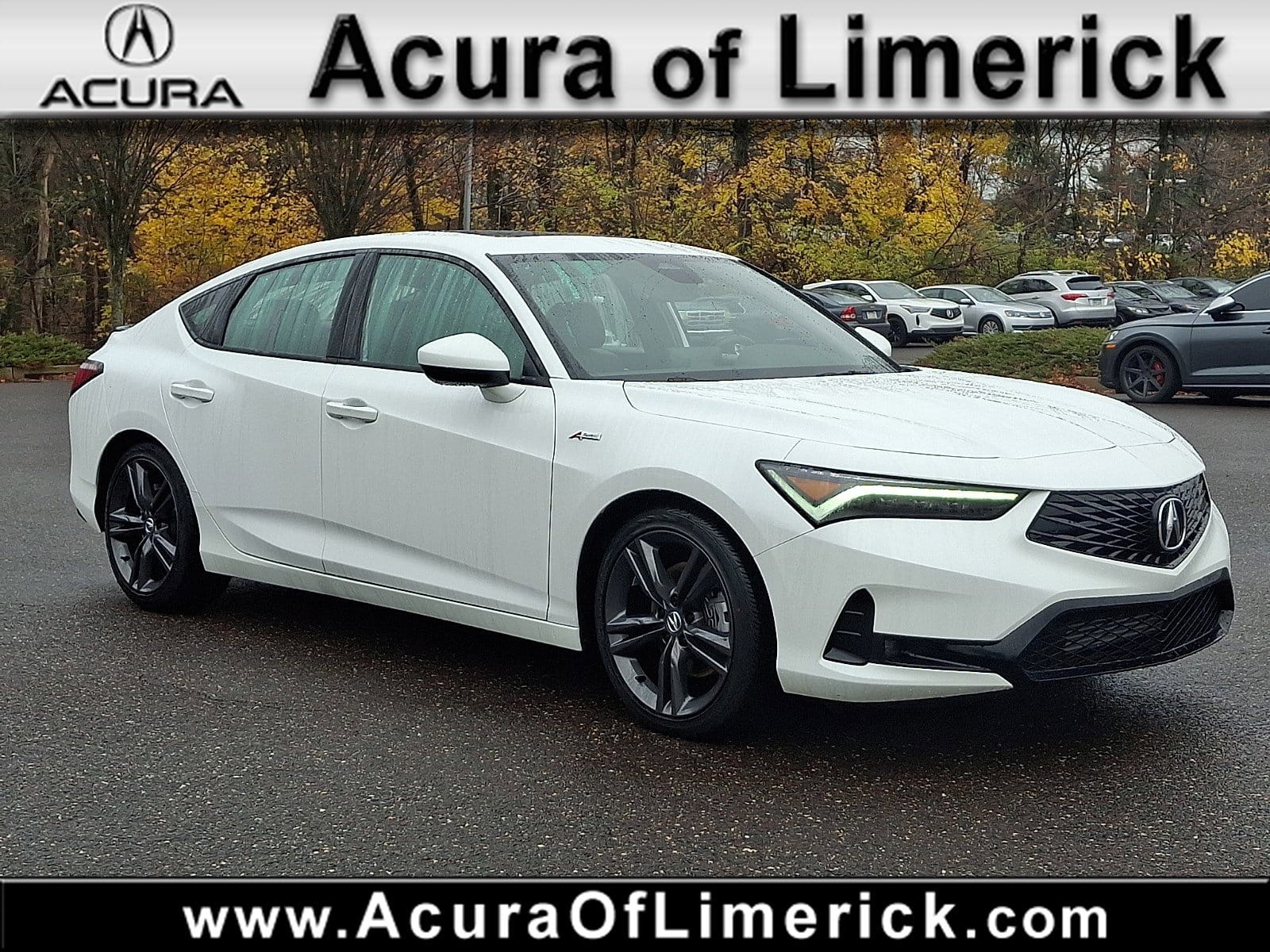 2025 Acura Integra A-Spec's photo