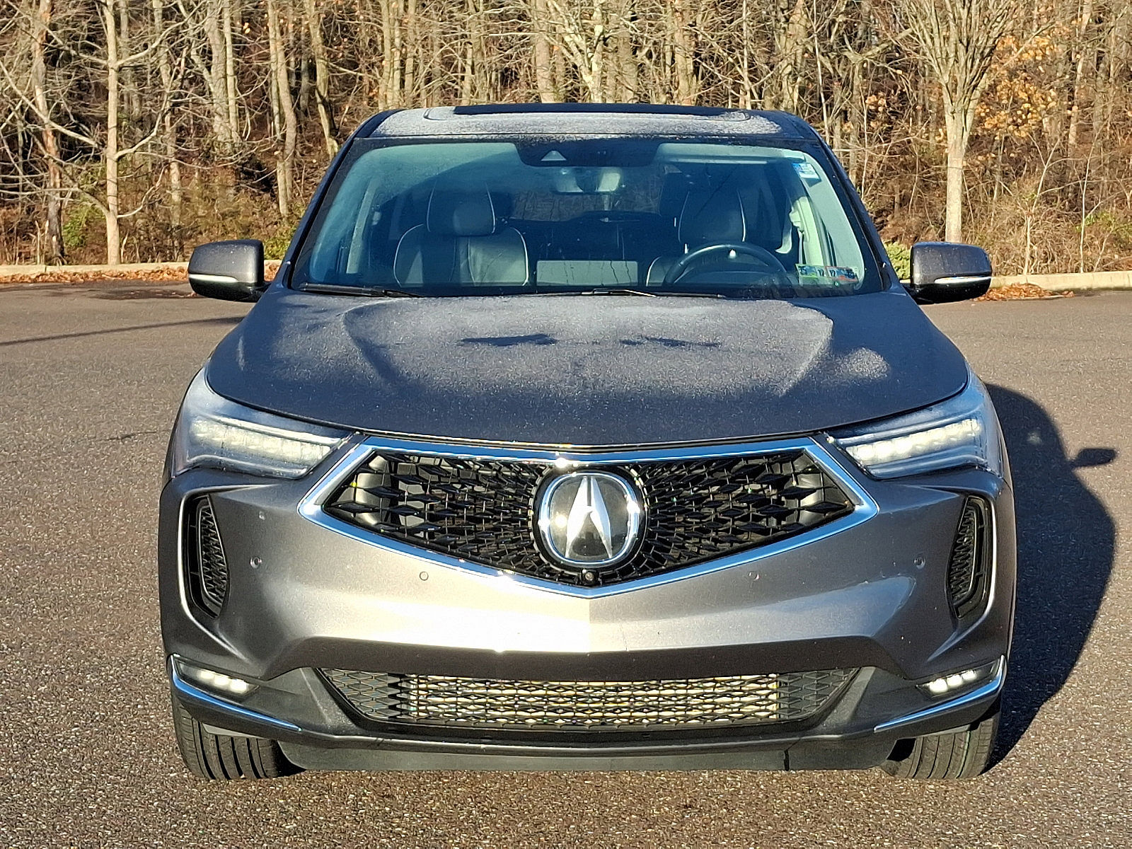 2022 Acura RDX Advance Package photo 2