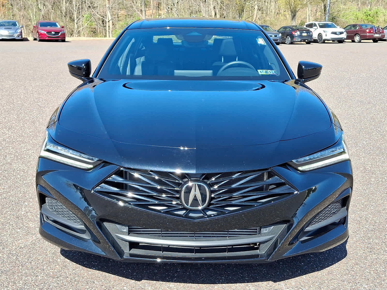 Used 2024 Acura TLX A-SPEC Package with VIN 19UUB6F56RA001714 for sale in Royersford, PA