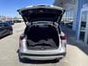 8 thumbnail image of  2019 INFINITI QX50 ESSENTIAL