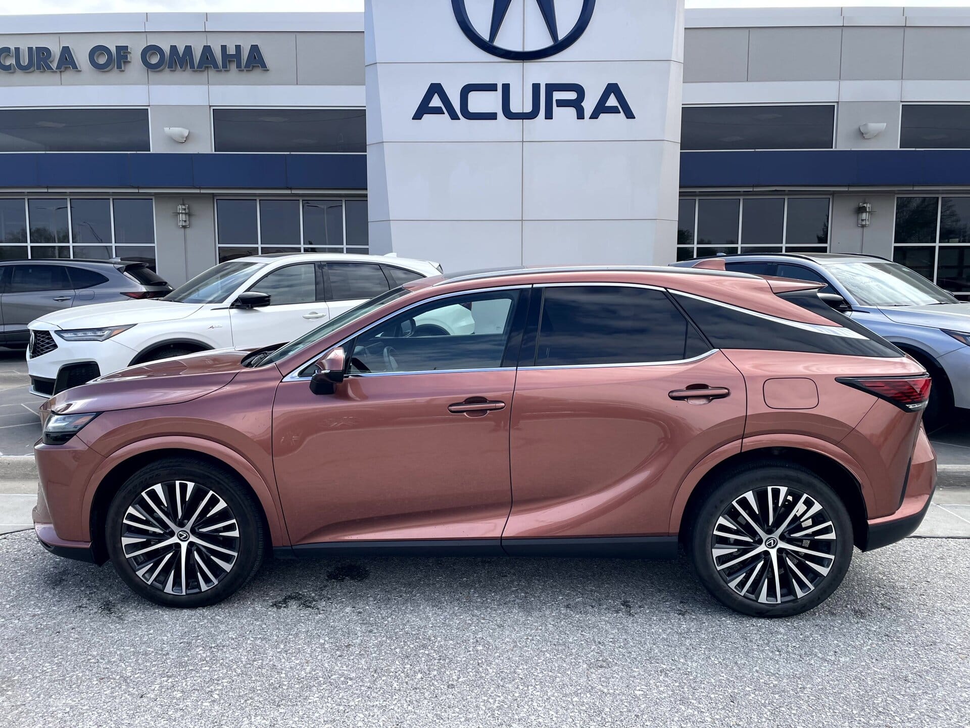 2023 Lexus RX 350 350 Premium Plus AWD's photo
