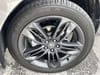 6 thumbnail image of  2024 Acura RDX w/A-Spec Package