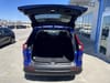 8 thumbnail image of  2024 Honda CR-V EX-L