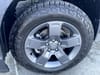 6 thumbnail image of  2025 Honda Ridgeline TrailSport